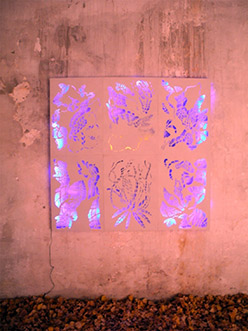 Carolina Brack: Cut Out Light #11, 2011 Schnittkompositionen in grauem Karton, 150 x 150 cm artlabmannheim, Mannheim 2011