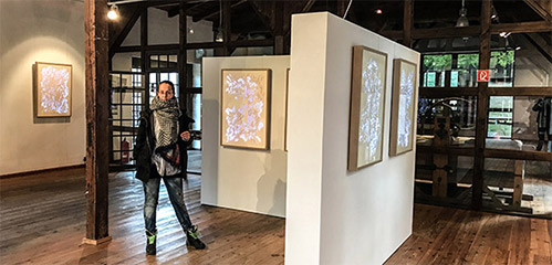 NATURE TRANSFIGURED Eine Kunstausstellung von Carolina Brack und OTGO,  Museum Baruther Glashtte