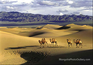 Gobi der Mongolei, www.mongoliaphotogallery.com von Erdenebayar Erdensuren