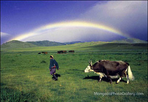 Mongolische Natur, www.mongoliaphotogallery.com von Erdenebayar Erdensuren