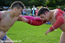 NAADAM EINLADUNG zum 12. Deutsch-Mongolischen Volksfest 18.07.2015 in Wamannsdorf - Schnefeld Berlin