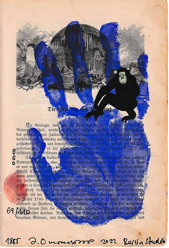 1885 OTGO Monkey 2022 Berlin Studio 069