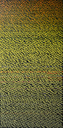 88888888 - 6 by OtGO 2025-2026, consists of 8 equal-sized single paintings, acryl on canvas, 200 x 800 cm. each measuring 200 x 100 cm