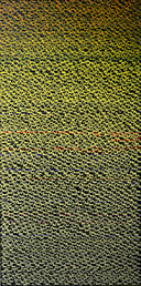 88888888 - 7 by OtGO 2025-2026, consists of 8 equal-sized single paintings, acryl on canvas, 200 x 800 cm. each measuring 200 x 100 cm