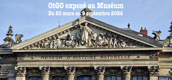 OtGO exposé au Muséum d’Histoire Naturelle Nantes